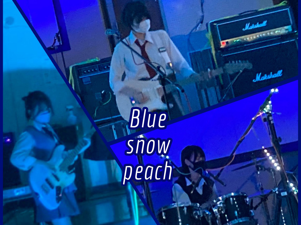 Blue snow peach